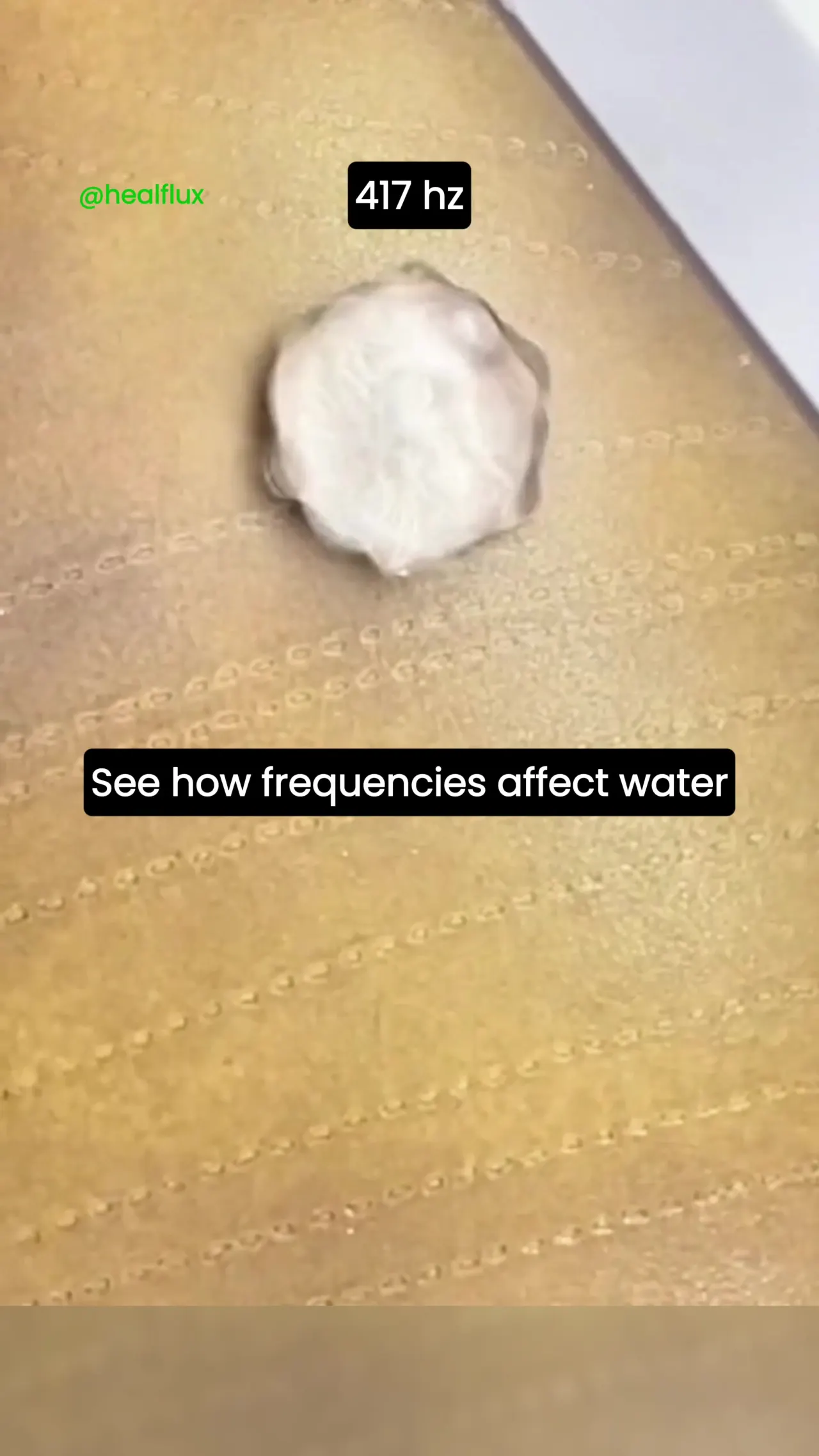 Cymatics in Action — video preview
